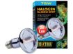 Obrázek Žárovka EXO TERRA Halogen Basking Spot 75W