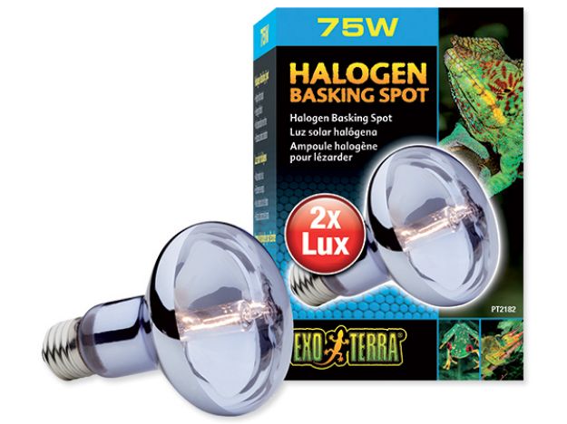 Obrázek Žárovka EXO TERRA Halogen Basking Spot 75W