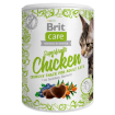 BRIT Care Cat Snack Superfruits Chicken 100g