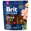 BRIT Premium by Nature Adult S 1kg