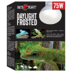 Žárovka REPTI PLANET Daylight Frosted 75W