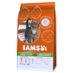 IAMS Cat rich in Lamb 1,5kg