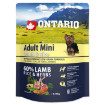 ONTARIO Dog Adult Mini Lamb & Rice 0,75kg