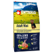 ONTARIO Dog Adult Mini Lamb & Rice 6,5kg