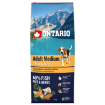 ONTARIO Dog Adult Medium Fish & Rice 12kg