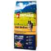 ONTARIO Dog Adult Medium Lamb & Rice 12kg