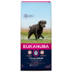 EUKANUBA Senior Large Breed Chicken 12kg