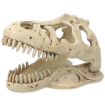 Dekorace REPTI PLANET T-REX lebka 13,3 cm 