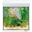 Akvárium set TETRA AquaArt LED Goldfish bílé 35 x 25 x 35 cm 30l