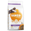 IAMS for Vitality Kitten Food with Fresh Chicken 2kg