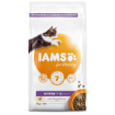 IAMS for Vitality Kitten Food with Fresh Chicken 2kg