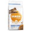 IAMS for Vitality Dental Cat Food with Fresh Chicken 2kg