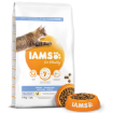 IAMS for Vitality Dental Cat Food with Fresh Chicken 10kg