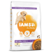 IAMS Dog Puppy Large Chicken 12kg