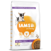 IAMS Dog Puppy Small & Medium Chicken 12kg