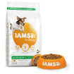 IAMS Dog Adult Small & Medium Chicken 3kg