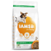 IAMS Dog Adult Small & Medium Lamb 3kg