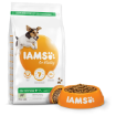 IAMS Dog Adult Small & Medium Lamb 3kg