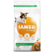 IAMS Dog Adult Small & Medium Lamb 3kg