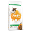 IAMS Dog Adult Small & Medium Lamb 12kg