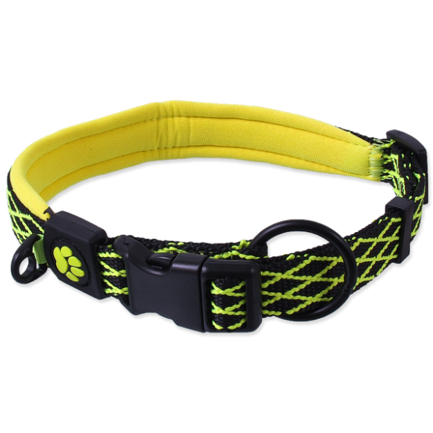 Obojek ACTIVE DOG Mystic limetka L 