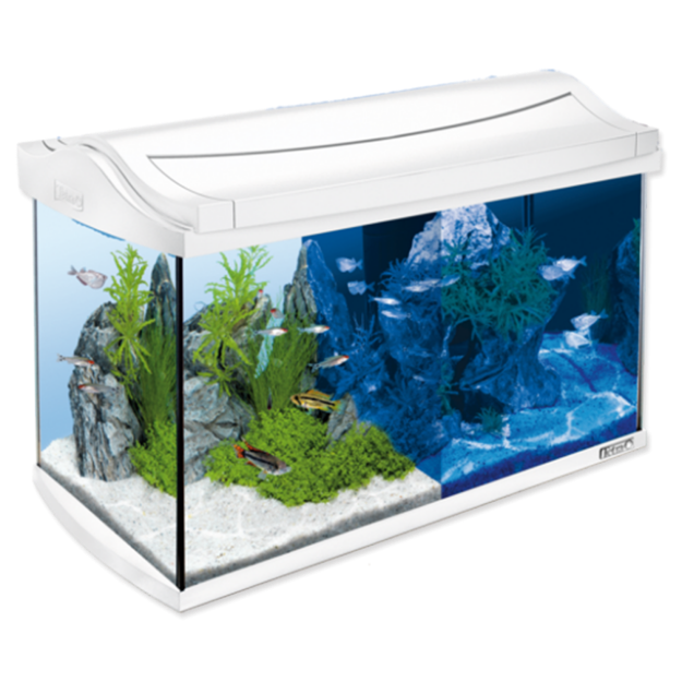 Akvárium set TETRA AquaArt LED bílé 57 x 30 x 35 cm 60l