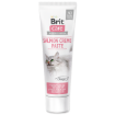 BRIT Care Cat Paste Salmon creme 100g