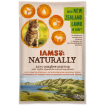 Kapsicka IAMS Cat Naturally with New Zealand Lamb in Gravy 85g