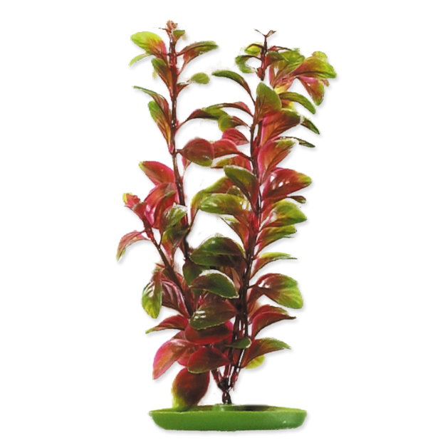 Obrázek Rostlina MARINA Red Ludwigia 38 cm 